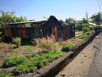 Plants growing by abandoned building against sky