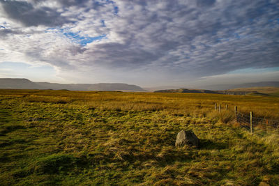 Scenic view of field against sky