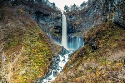 Scenic view of waterfall in forest