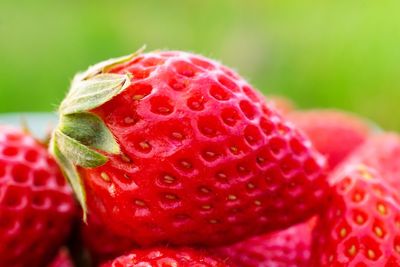 Close-up of strawberry