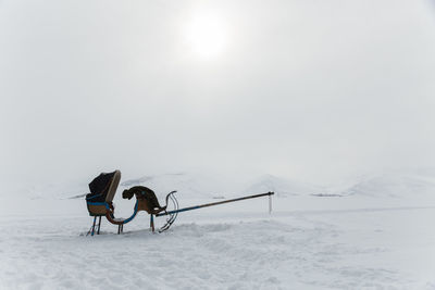 Sleigh on snow field against sky