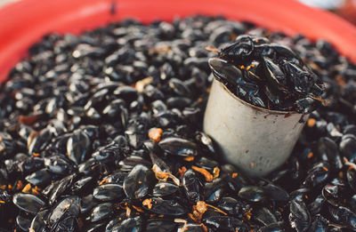 High angle view of mussels for sale at market stall