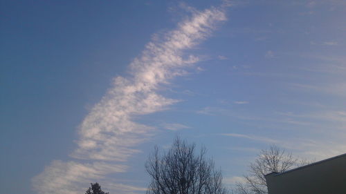 Low angle view of bare trees against blue sky