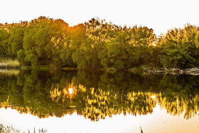 Reflection of trees in lake against sky