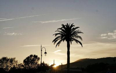 Silhouette palm trees against sky during sunset