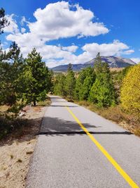 Road amidst plants and trees against sky