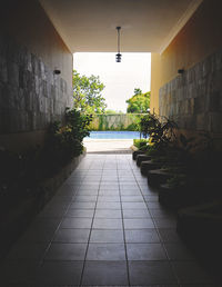 Potted plants in building
