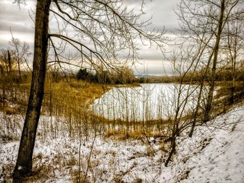 Bare trees by lake against sky during winter