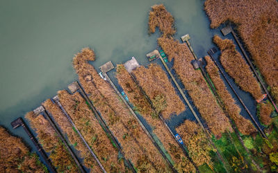 High angle view of plants on land by lake