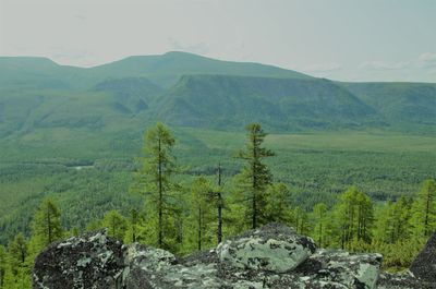 wilderness