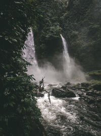 Scenic view of waterfall in forest