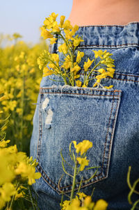 Close-up of yellow flowering plant on field