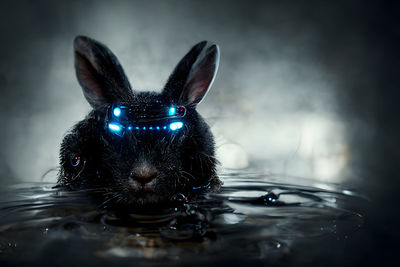 Black water wabbit in fancy dark cyberpunk style - neural network ai generated painting-like art