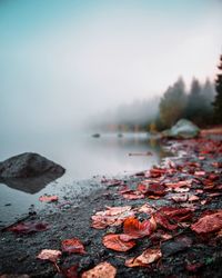 Surface level of rocks in water against sky