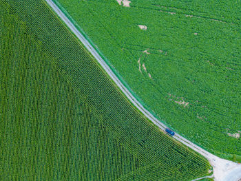 High angle view of soccer field