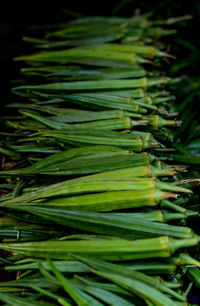 Full frame shot of green leaf in market