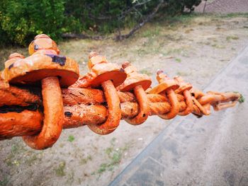Close-up of rusty chain on field