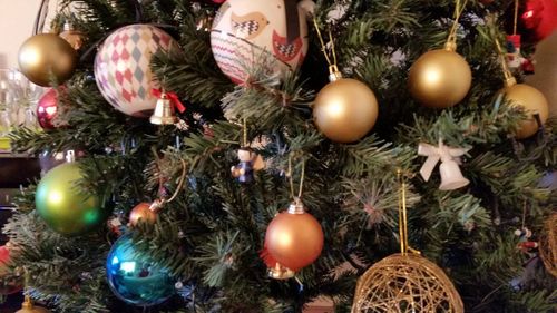 Close-up of christmas decorations hanging on tree