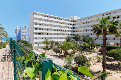 Palm trees and buildings against clear sky