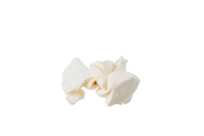Close-up of white rose against gray background