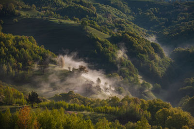 Morning rural scene of a mountain village in the spring season.