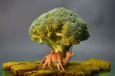 Miniature animal and nature theme from small objects