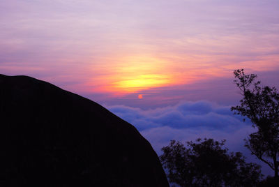 Low angle view of silhouette trees against sky at sunset