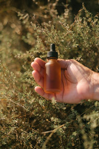 Cropped hand holding bottle over plants