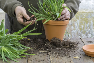 Close-up of woman working in farm