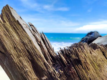 Panoramic view of driftwood on beach against sky