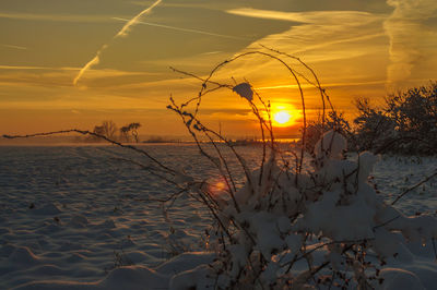 Scenic view of sunset over sea