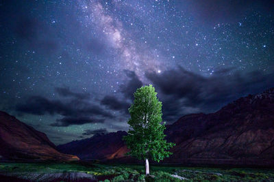 Scenic view of tree against sky at night