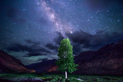 Scenic view of tree against sky at night