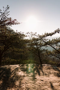 Scenic view of river against clear sky