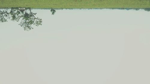 Reflection of tree in water against clear sky