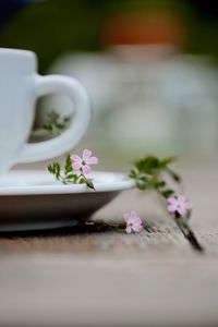 Close-up of pink rose on table