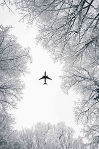 Directly below shot of silhouette airplane flying against sky