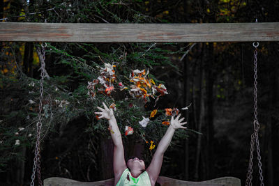 Flower holding plant