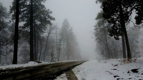 Snow and fog on a winding road 