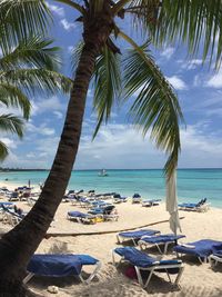 The beauty and tranquility of the caribbean sea