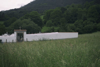 Scenic view of field against trees and plants