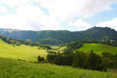 Scenic view of agricultural field against sky