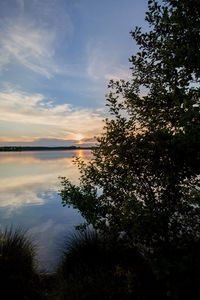 Silhouette trees by lake against sky during sunset