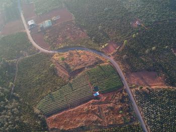 High angle view of agricultural field