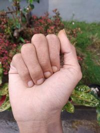 Close-up of human hand against plants