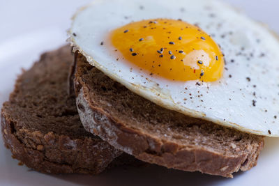Close-up of bread in plate