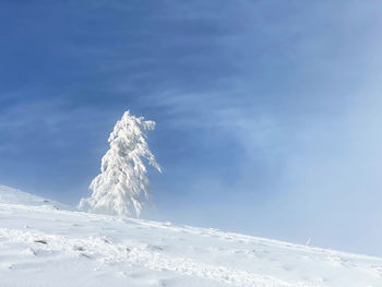 Low angle view of snowcapped mountain against sky