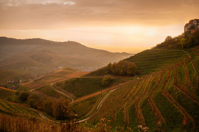 Scenic view of agricultural landscape against sky during golden sunset in mountains