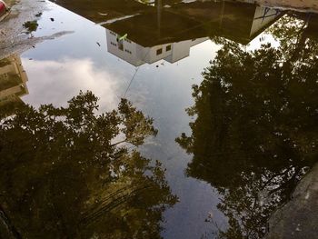 Low angle view of trees and sky reflecting in water