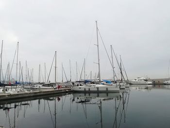 Sailboats moored at harbor against sky
